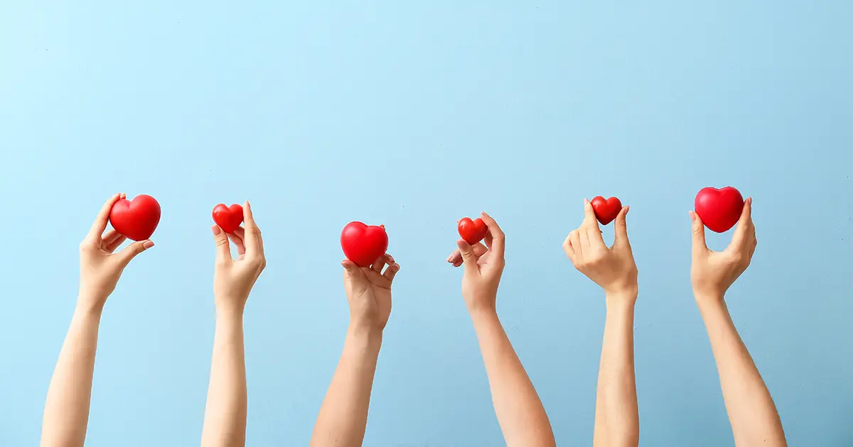 Grateful for Every Penny: Recent Funding Successes at S.H.E. UK